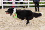 IMG1_022255