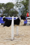 IMG1_022260