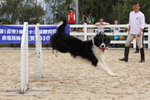 IMG1_022261