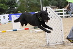 IMG1_022264