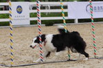 IMG1_022269