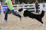IMG1_022273