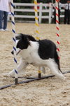 IMG1_022276