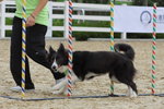 IMG1_022285