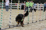 IMG1_022292