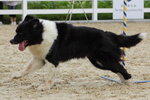 IMG1_022304