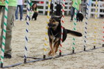 IMG1_022312