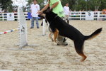 IMG1_022316