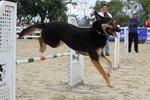 IMG1_022321