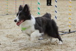 IMG1_022322