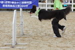 IMG1_022325