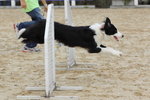 IMG1_022327