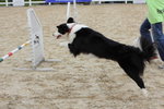 IMG1_022332