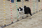 IMG1_022340