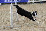 IMG1_022347