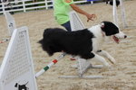IMG1_022351