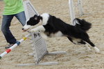 IMG1_022354