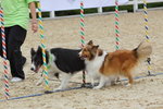IMG1_022359
