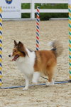 IMG1_022362