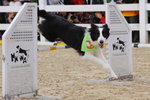 IMG1_022739