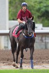 IMG1_023381