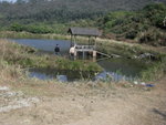 20110204 東莞清溪 (001)