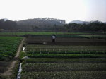 20110204 東莞清溪 (100)