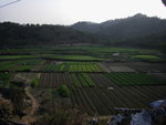 20110204 東莞清溪 (113)