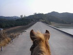 20110204 東莞清溪 (116)