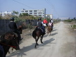 20110204 東莞清溪 (28)