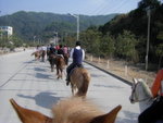 20110204 東莞清溪 (29)