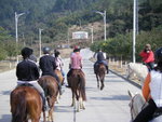 20110204 東莞清溪 (36)