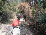 20110204 東莞清溪 (41)
