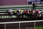 IMG1_023924