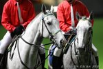 IMG1_024897