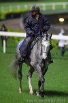 IMG1_025073