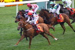 20090201百週年紀念短途盃  香港一級賽 - 1200米 創惑(G111)巫斯義  約翰摩亞