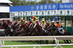 20090413 新馬賽 - 1000米起步點   加州滿意(K097)         蔡明紹        告東尼