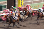 20090517 第四班 - 1200米  人緣好馬(G260)         楊明綸        鄭俊偉