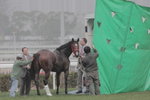 後備2~20090215~Race 3~
