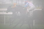 IMG1_025193