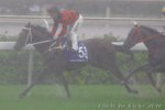 IMG1_025230