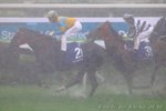 IMG1_025234