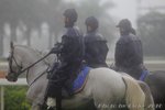 IMG1_025242