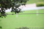 IMG1_026162