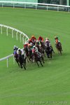 IMG1_026169