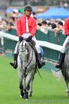 IMG1_026205