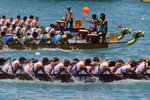 IMG1_027817