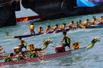 IMG1_027849