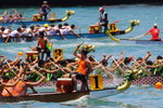 IMG1_027854